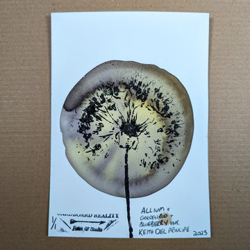 Botanical Print - Allium x Goldenrod + Blueberry Ink