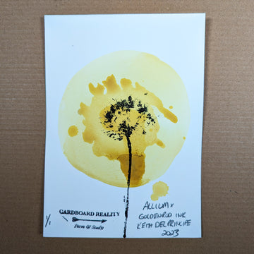 Botanical Print - Allium x Goldenrod Ink 2