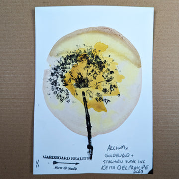Botanical Print - Allium x Goldenrod + Staghorn Sumac Ink