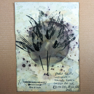 Botanical Print - Parrot Tulip x Wild Grape + Staghorn Sumac + Goldenrod Ink