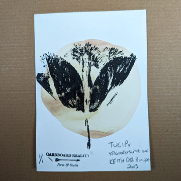 Botanical Print - Parrot Tulip x Staghorn Sumac Ink