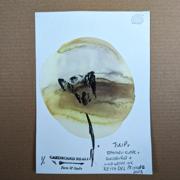 Botanical Print - Tulip x Wild Grape + Staghorn Sumac + Goldenrod Ink