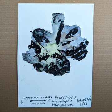 Botanical Print - Peony Tulip x Wild Grape + Goldenrod Ink