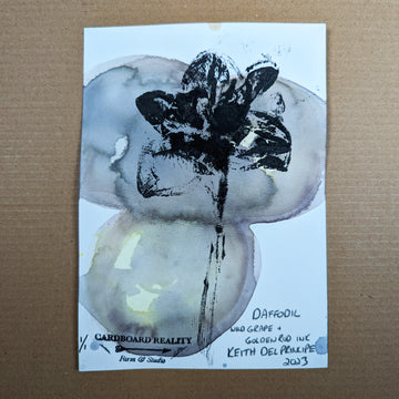 Botanical Print - Daffodil x Wild Grape + Goldenrod Ink