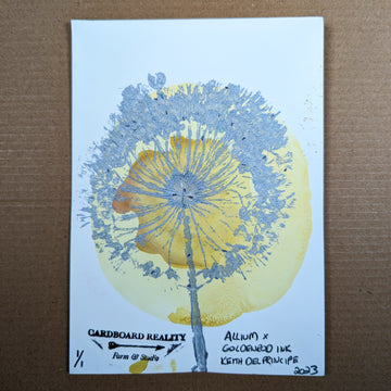 Botanical Print - Allium x Goldenrod Ink 9