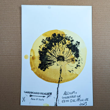 Botanical Print - Allium x Goldenrod Ink 5