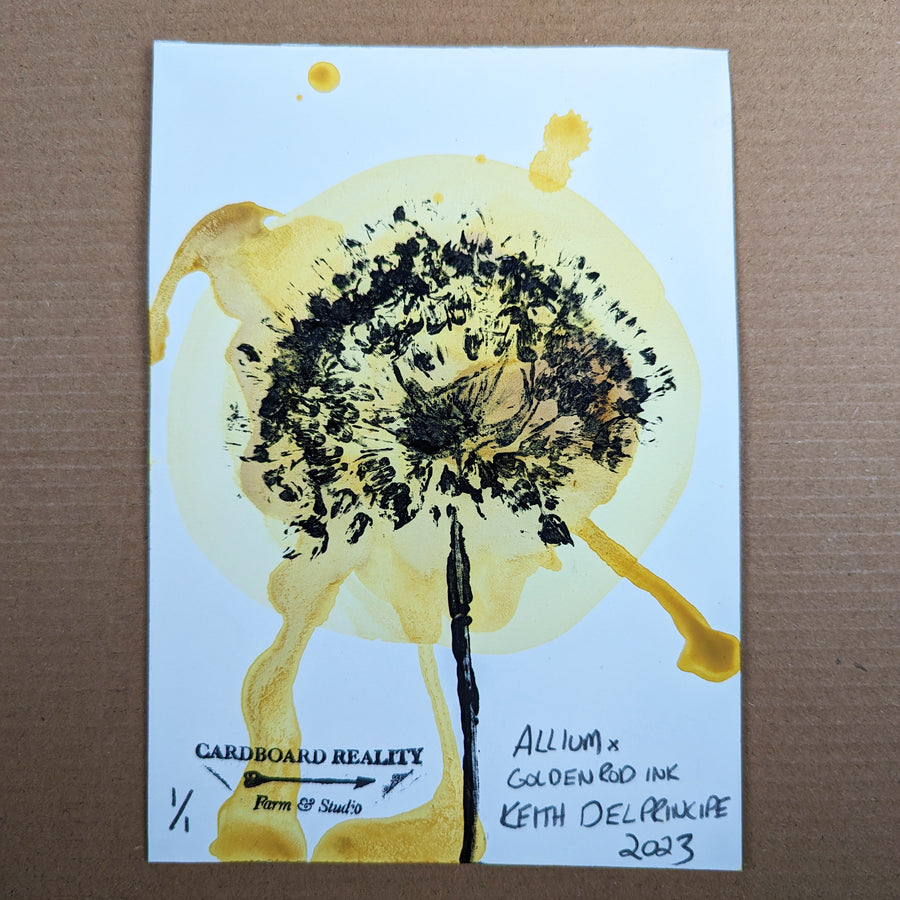 Botanical Print - Allium x Goldenrod Ink 6