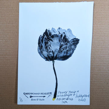 Botanical Print - Peony Tulip x Wild Grape Ink