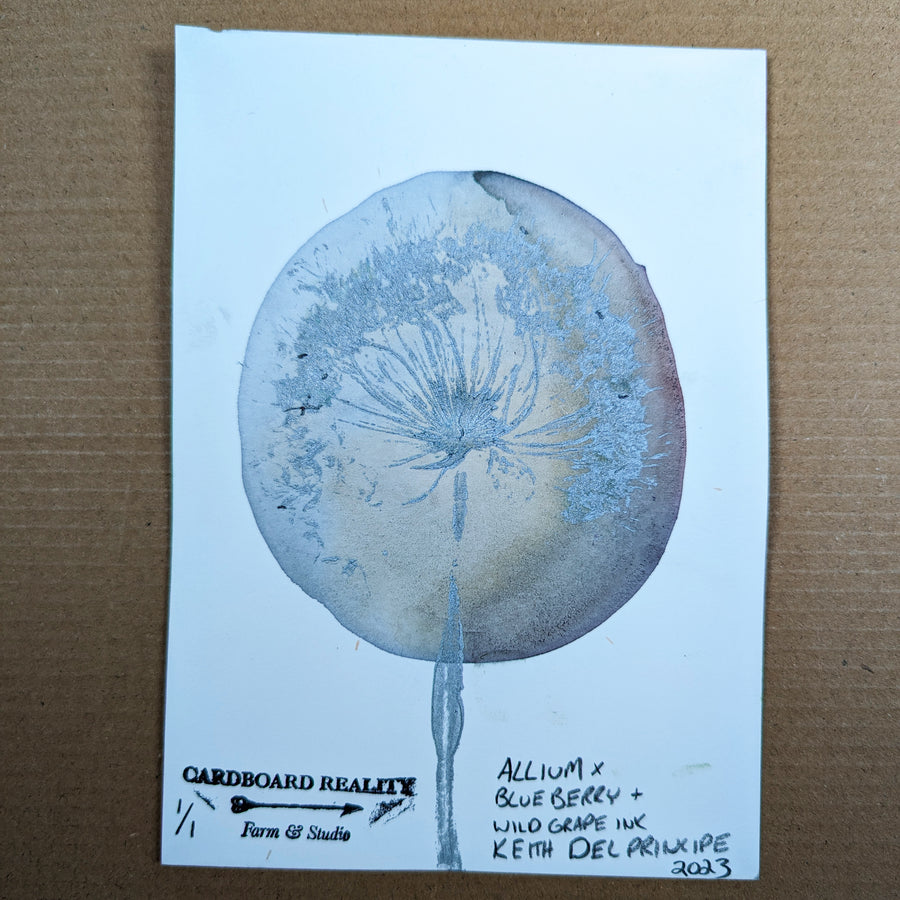 Botanical Print - Allium x Blueberry + Wild Grape Ink