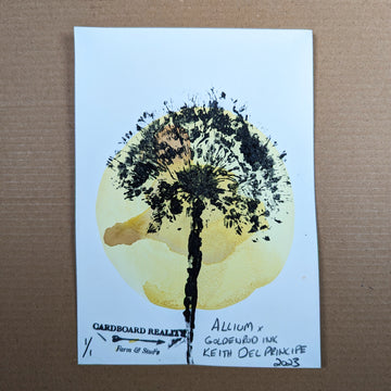 Botanical Print - Allium x Goldenrod Ink 10