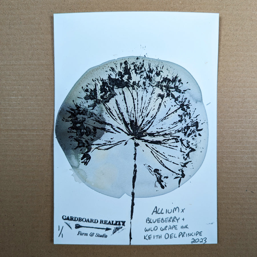 Botanical Print - Allium x Blueberry + Wild Grape Ink