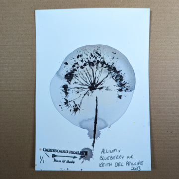 Botanical Print - Allium x Blueberry Ink