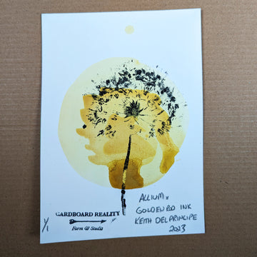 Botanical Print - Allium x Goldenrod Ink 4