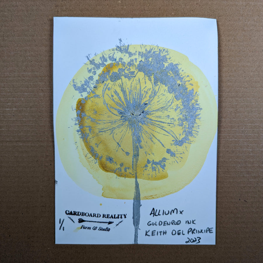 Botanical Print - Allium x Goldenrod Ink 3