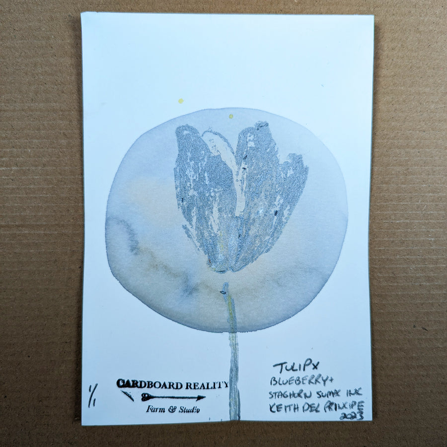 Botanical Print - Tulip x Blueberry + Staghorn Sumac Ink