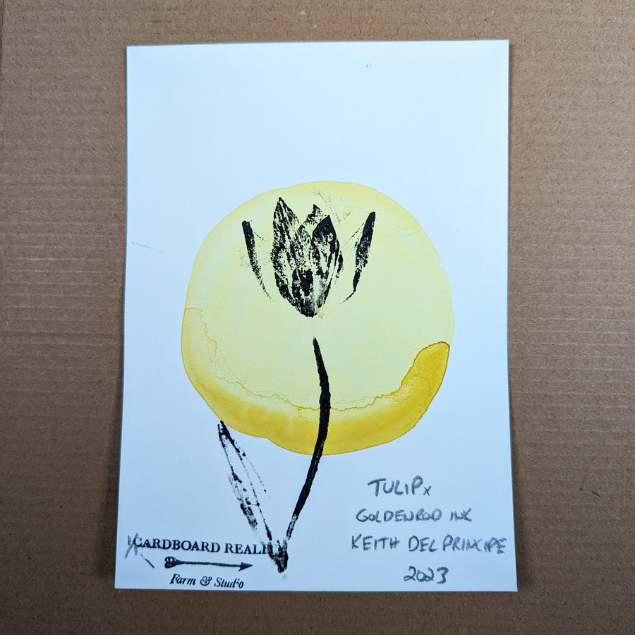 Botanical Print - Tulip x Goldenrod Ink