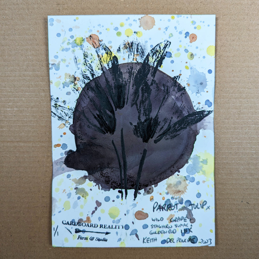 Botanical Print - Parrot Tulip x Wild Grape + Staghorn Sumac + Goldenrod Inks