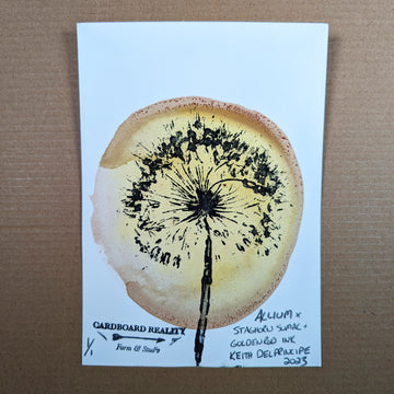 Botanical Print - Allium x Staghorn Sumac + Goldenrod Ink 2