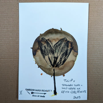 Botanical Print - Tulip x Staghorn Sumac + Wild Grape Ink