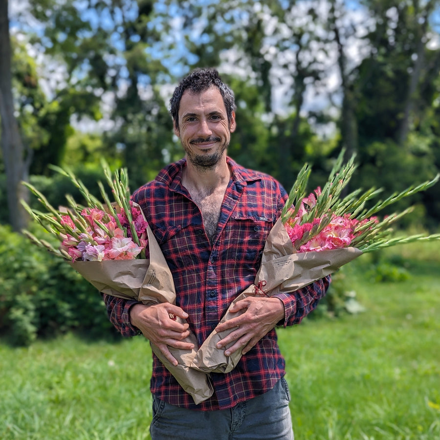 Large Market Wrap - Gladiolus