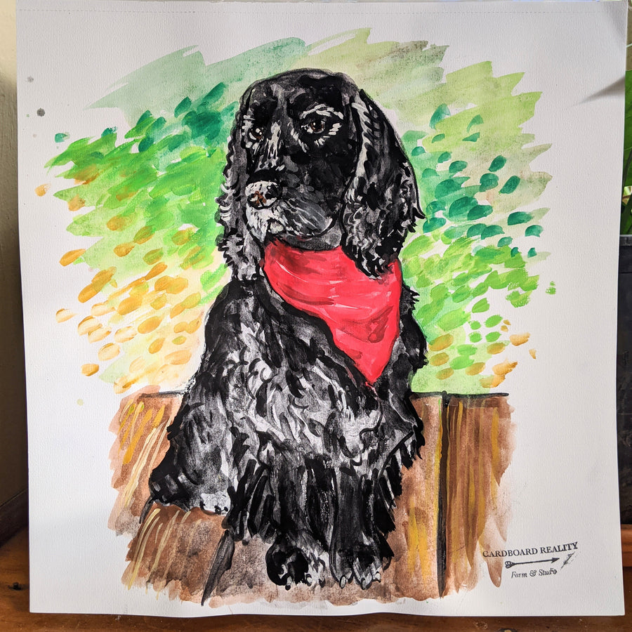 Illustrated Pet Portrait