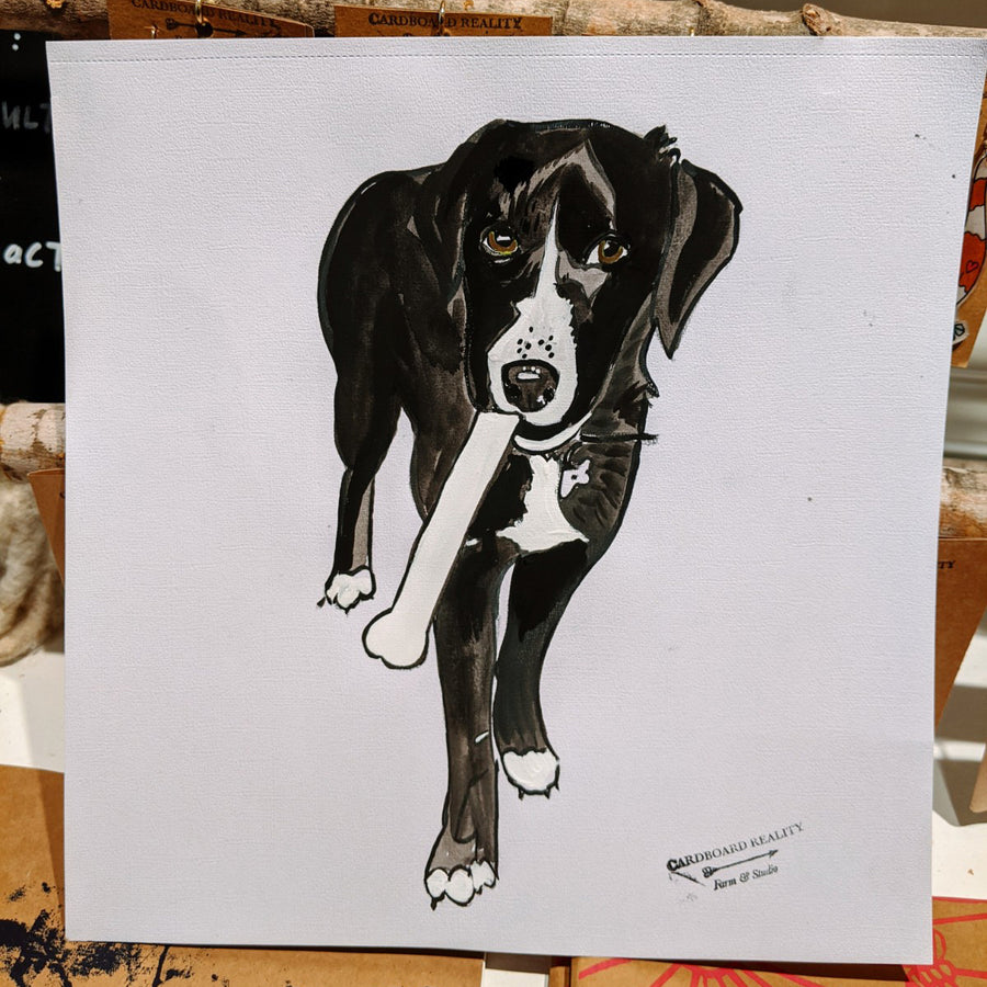 Illustrated Pet Portrait