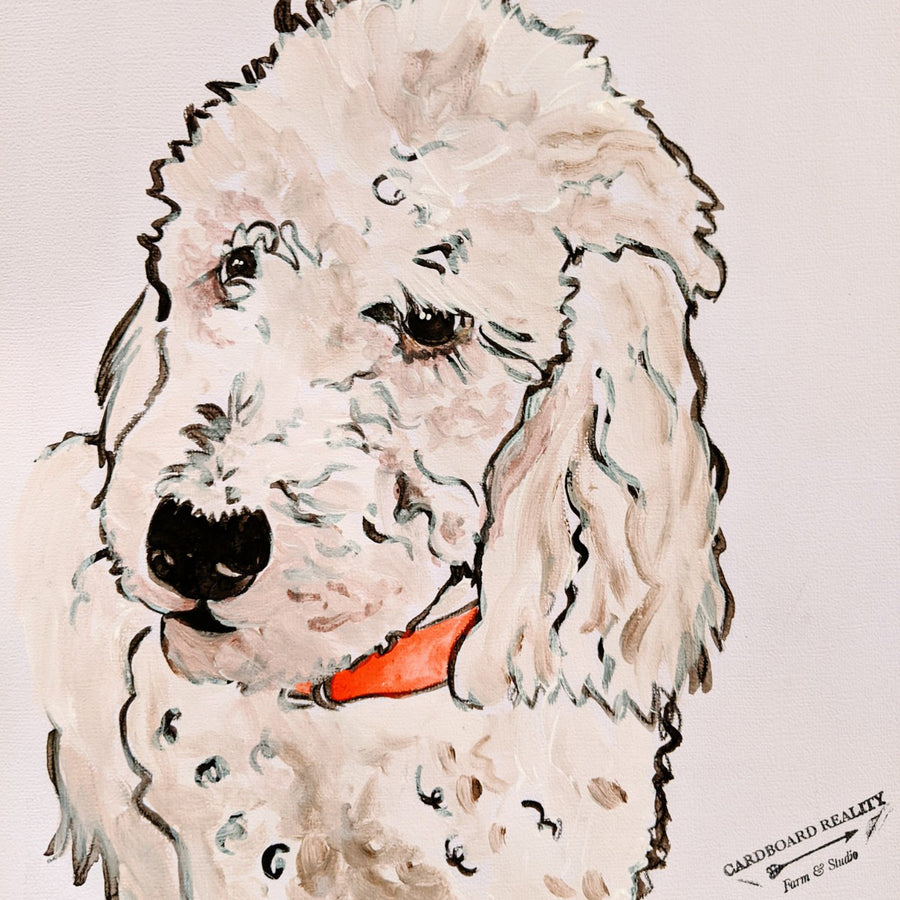 Illustrated Pet Portrait